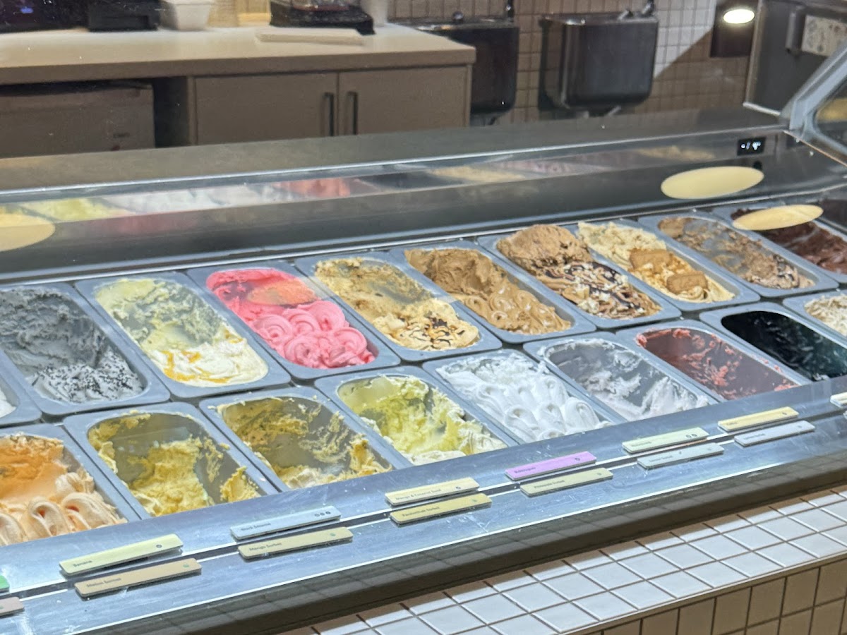 48 Flavours Hyde Park Photos 2